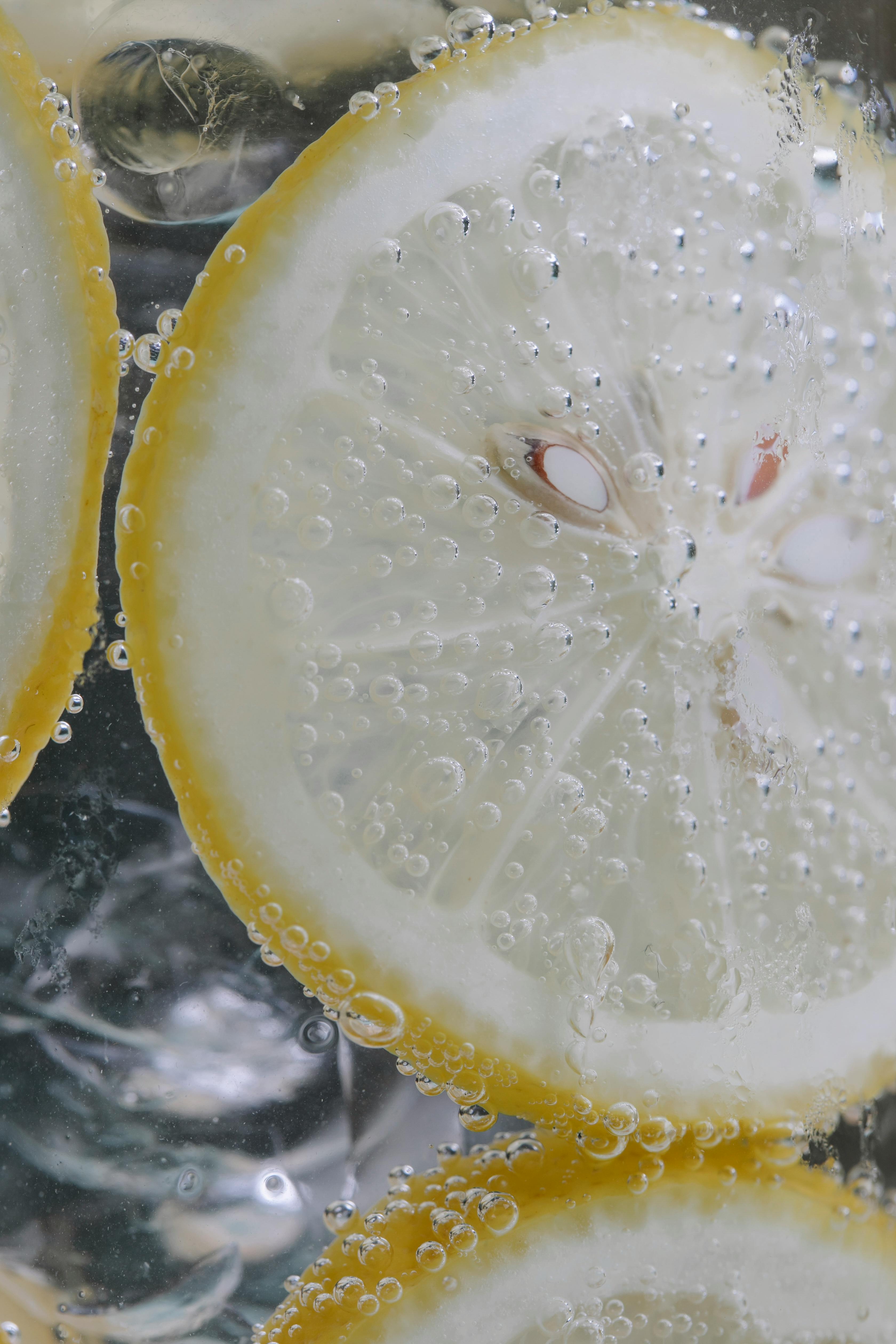 Lemon Slices in Sparkling Water — Food