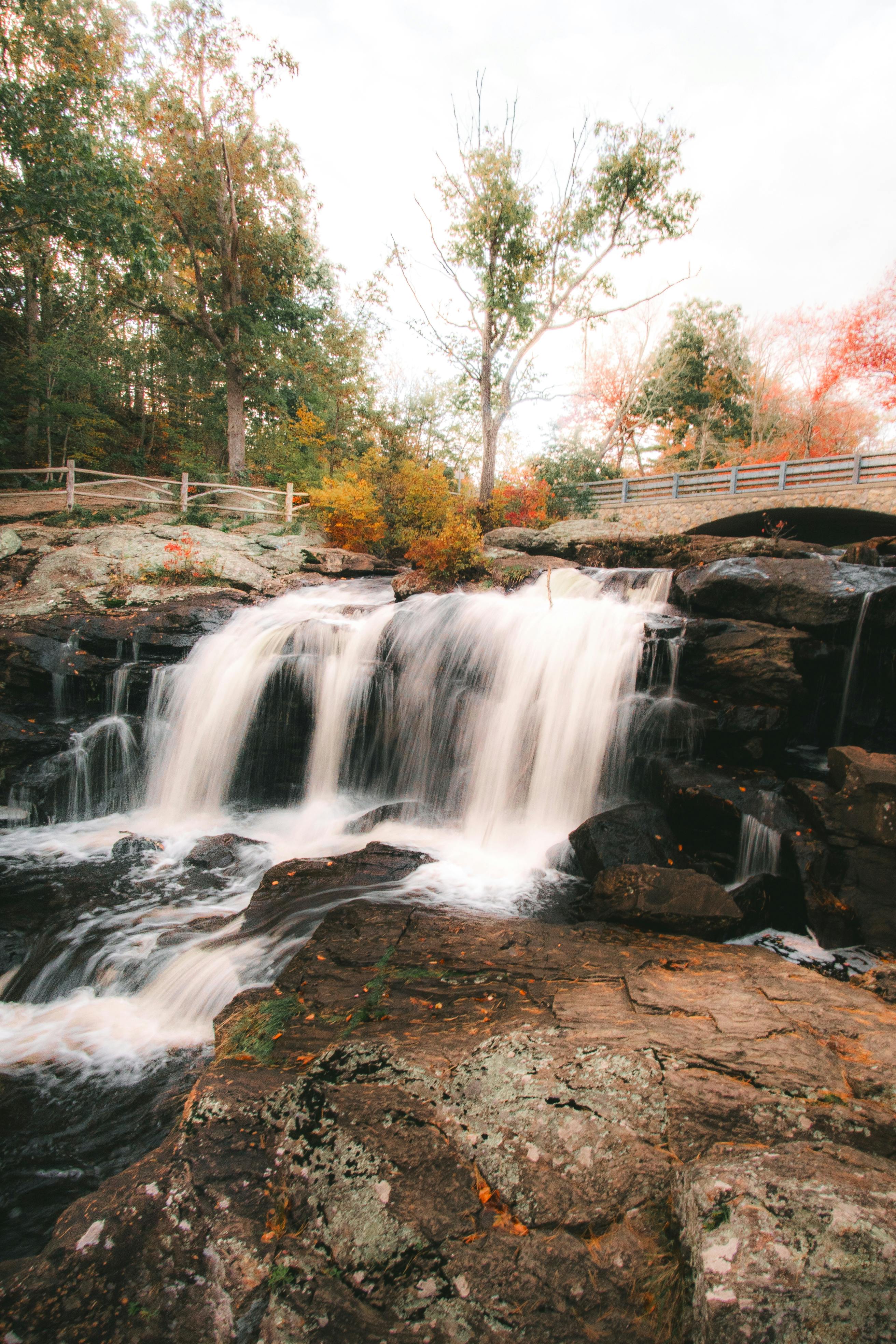 Autumn Forest Waterfall by Stone Bridge