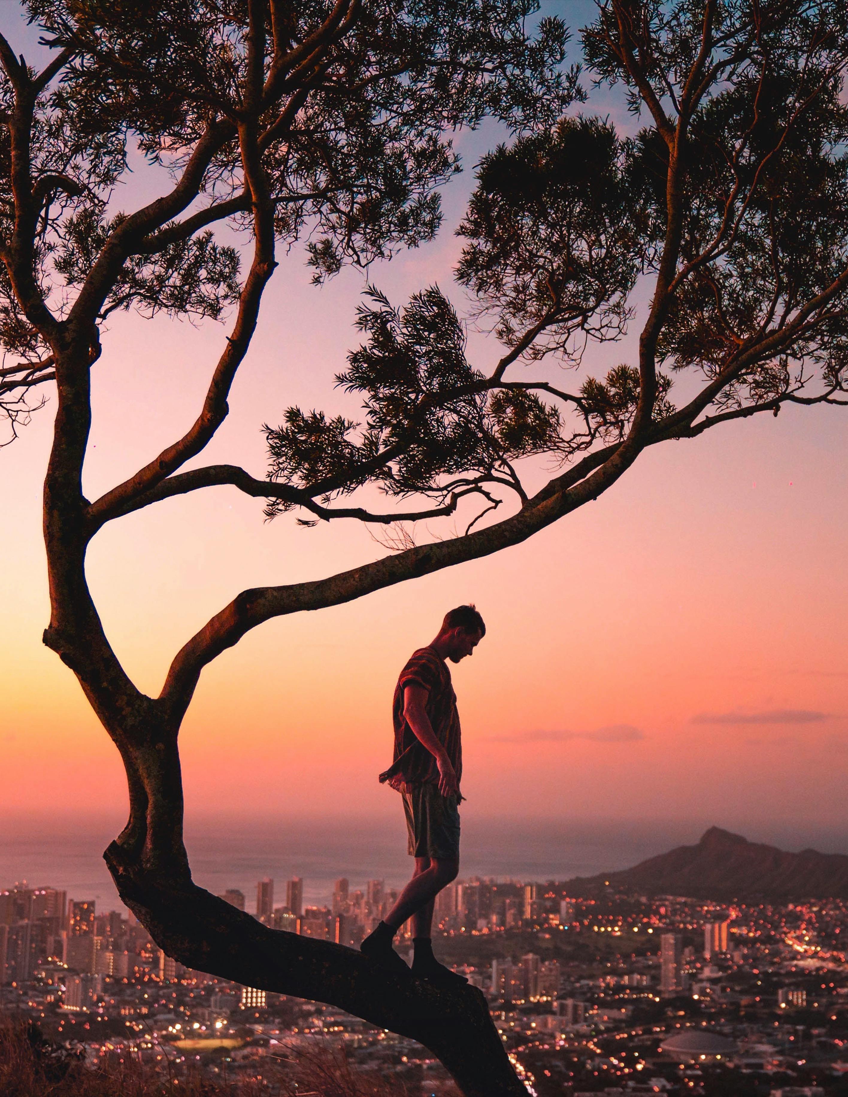Man on Tree Overlooking City at Sunset