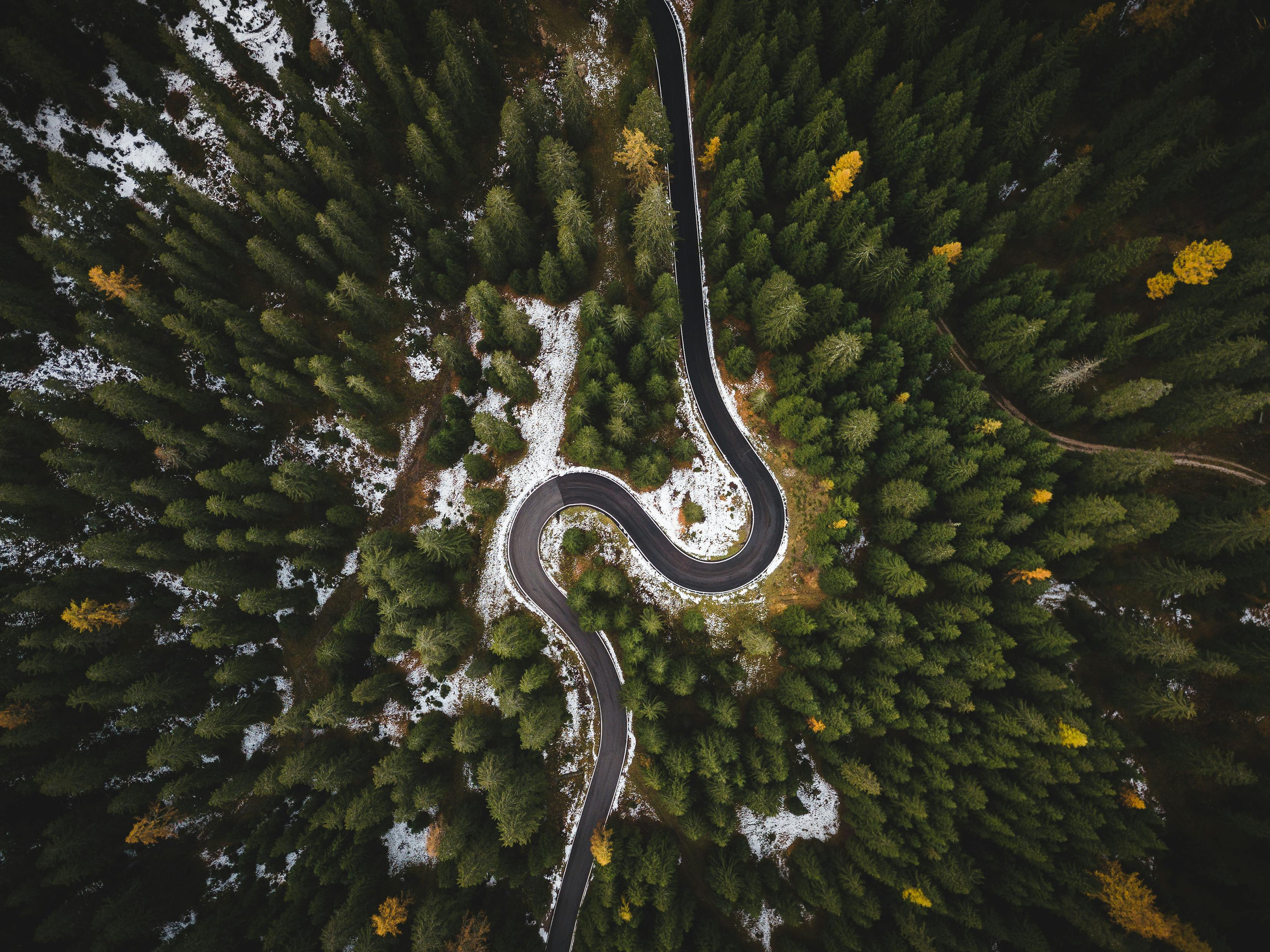 Aerial View of Winding Road in Forest