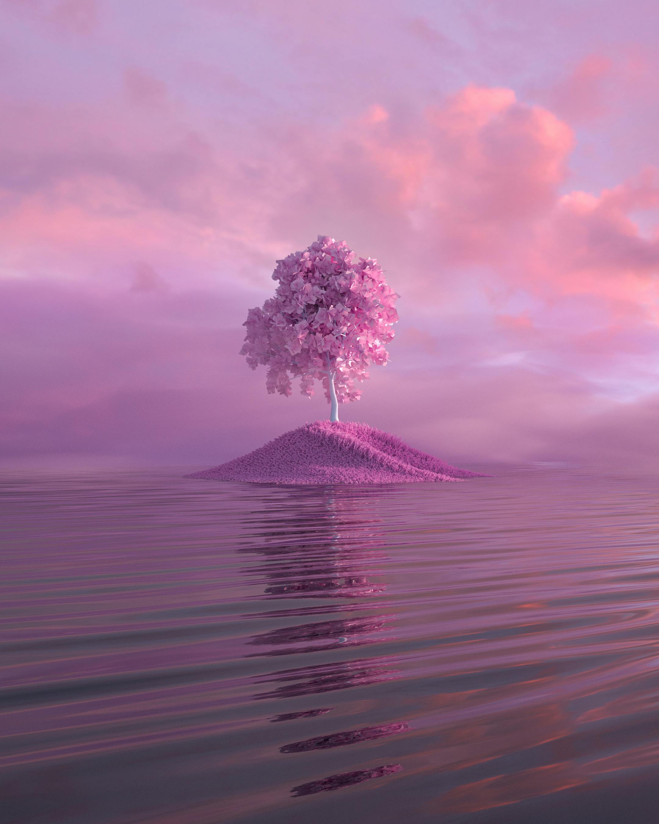 Lone Pink Tree on Tiny Island — Wallpapers