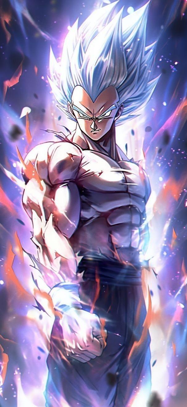 Ultra Instinct Vegeta Artwork