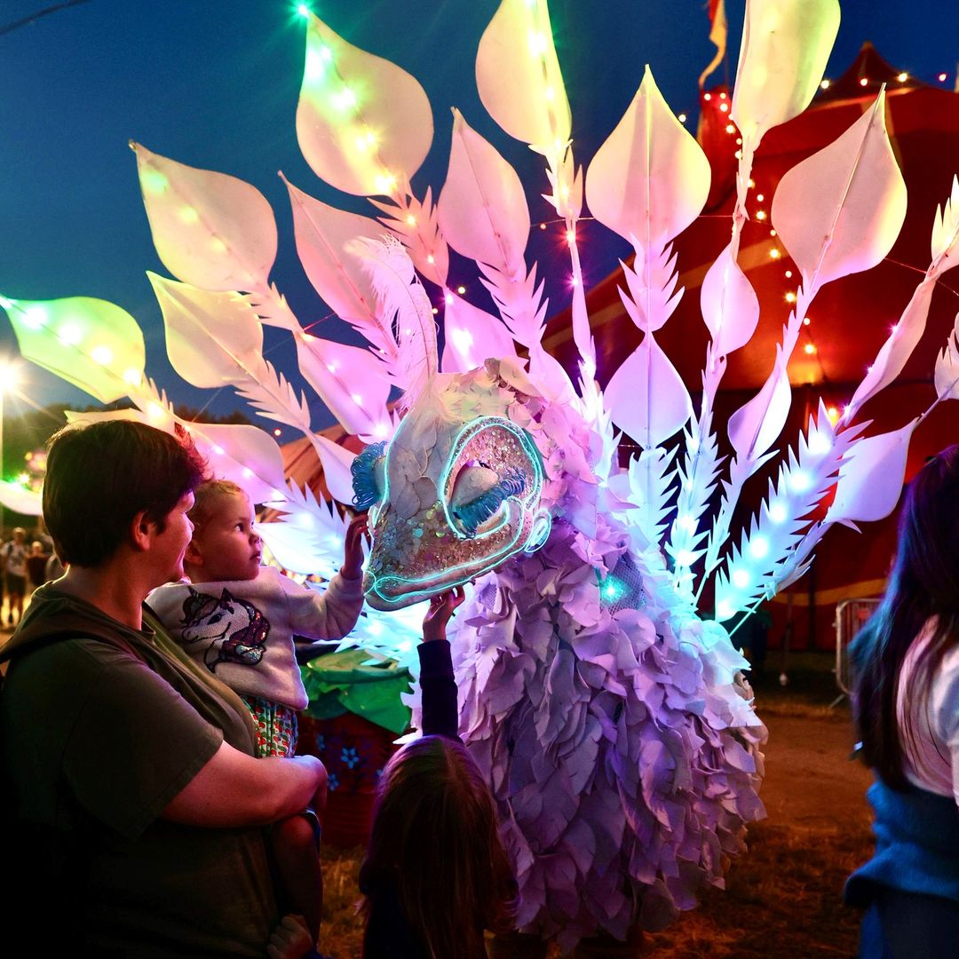 Glowing Festival Costume At Night Event