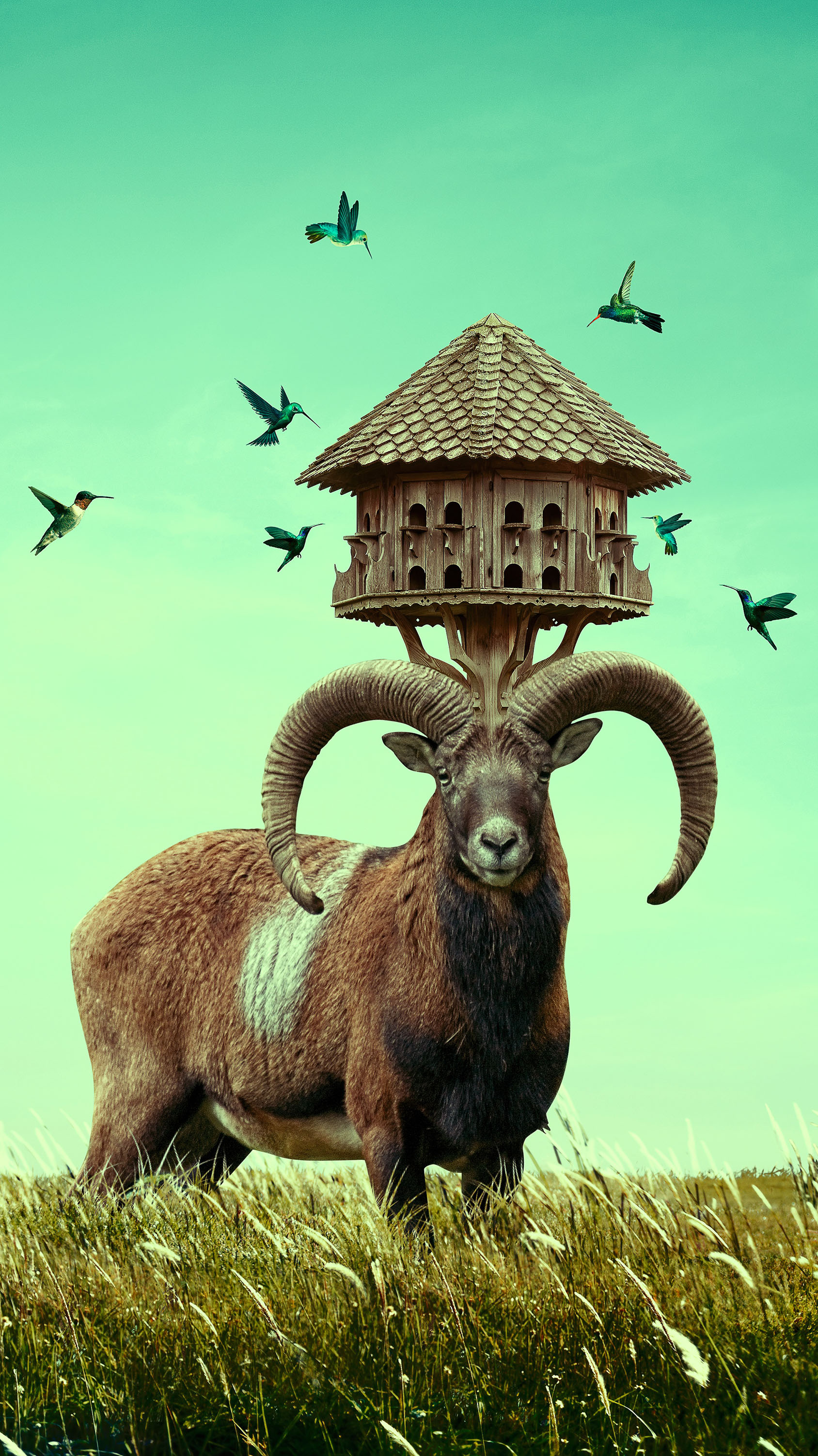 Surreal Ram With Birdhouse On Head
