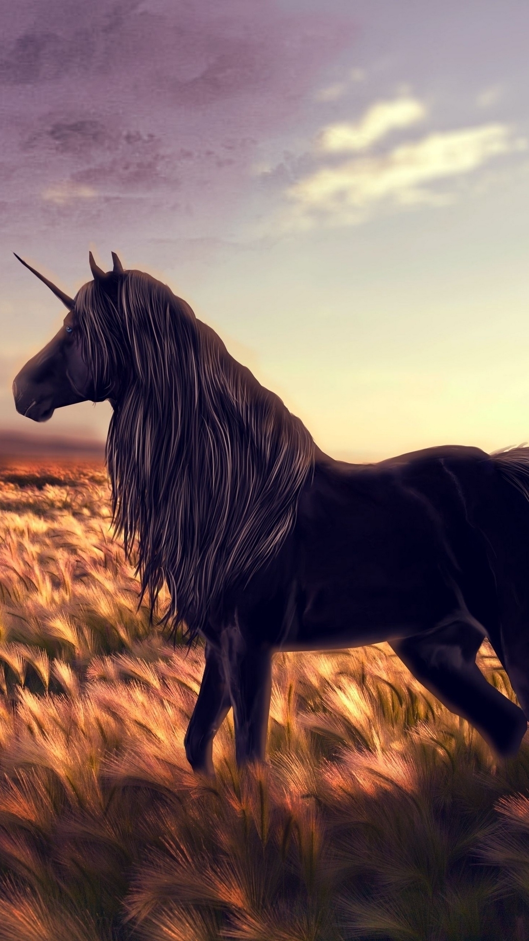 Black Unicorn in Golden Meadow