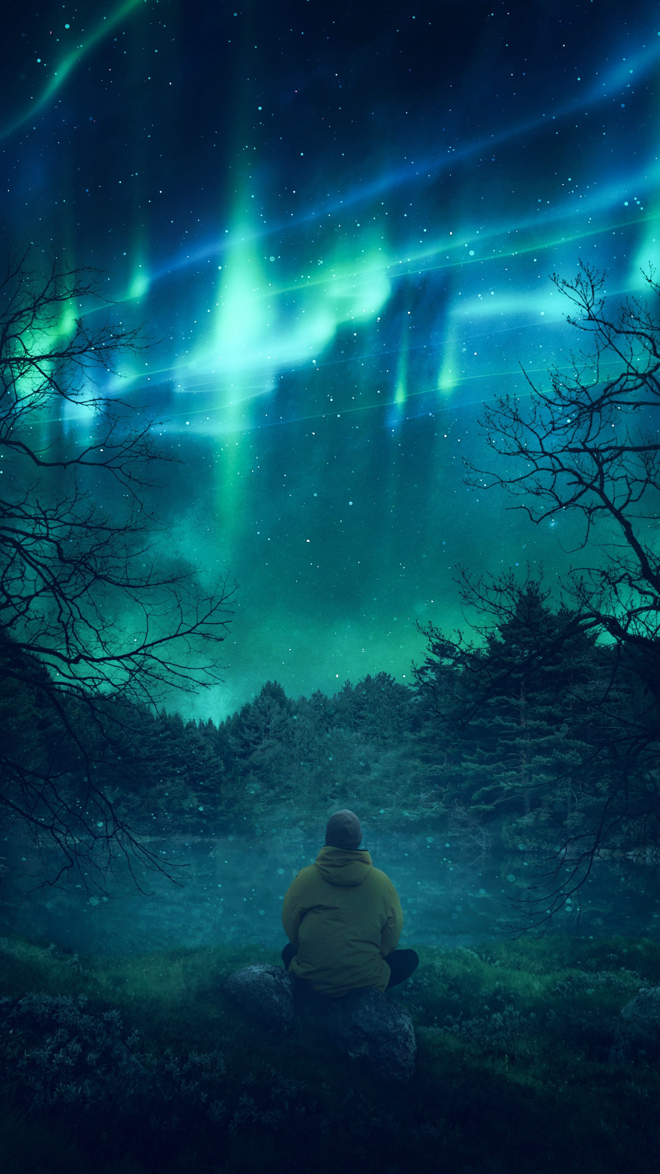 Person Watching Aurora Borealis In Forest