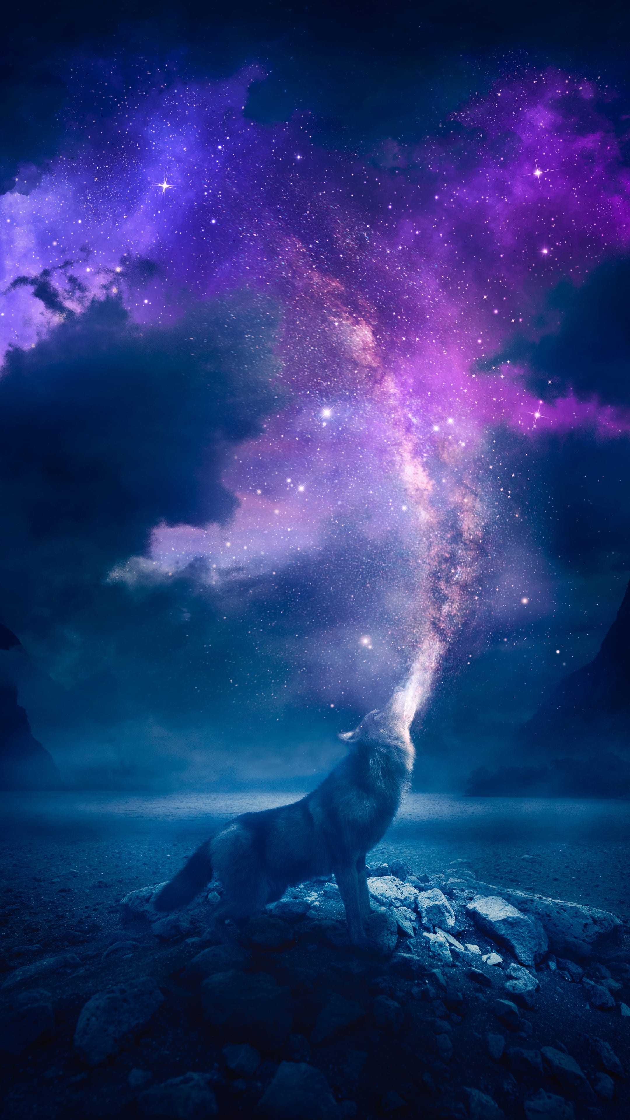 Howling Wolf Under Starry Sky — 4K Wallpapers