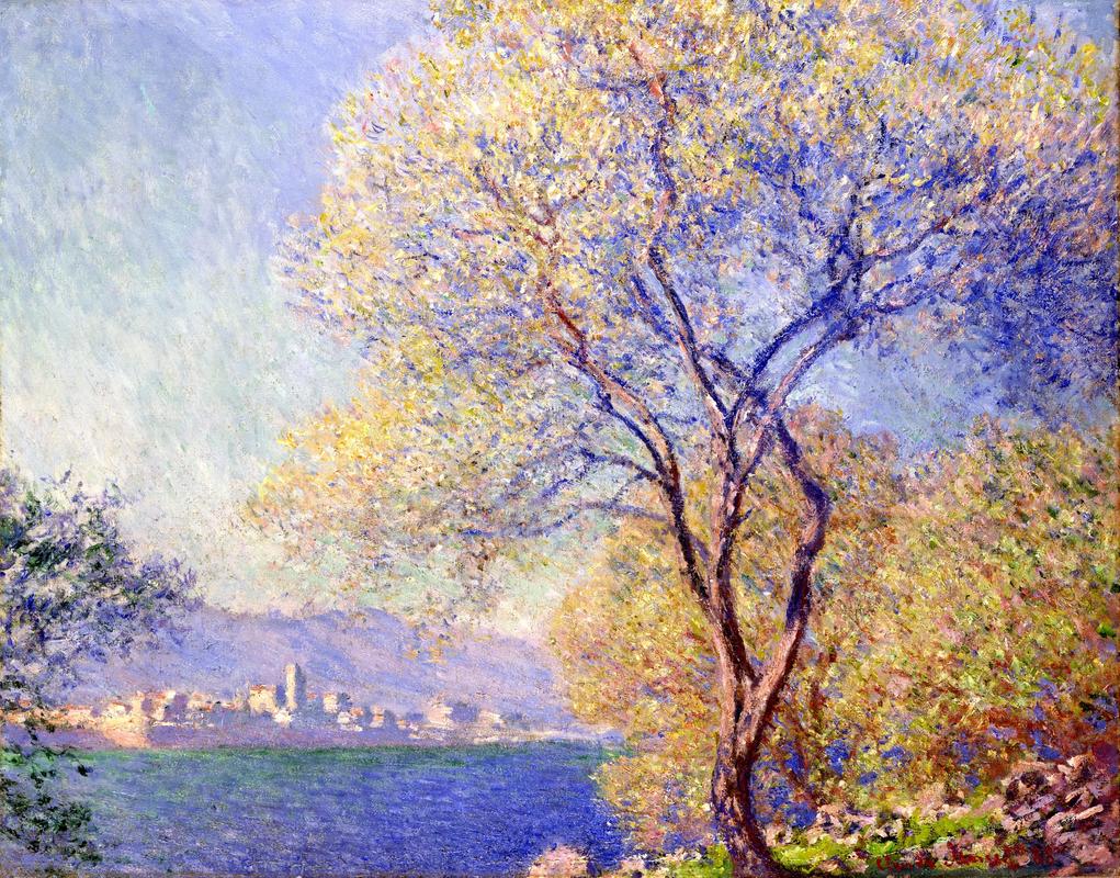 Lakeside Landscape With Blooming Tree