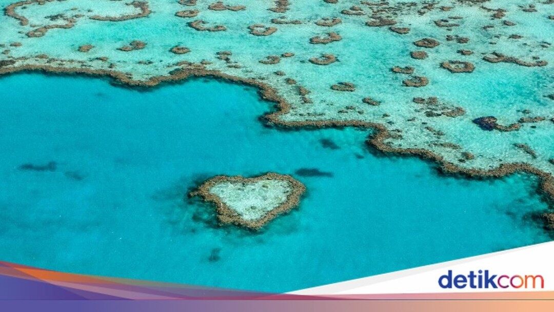 Great Barrier Reef di Australia Semakin Terancam!