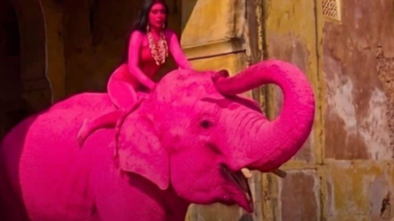 67-Year-Old Elephant Painted Pink For Photoshoot Dies Months Later In Jaipur