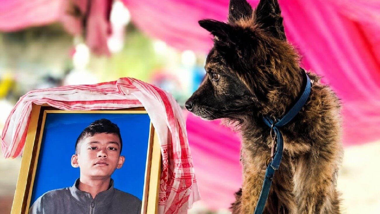 'I Can Rebuild Your House, But...': Himanta's Words To Parents Of Boy Who Died Saving Puppy In Assam Floods