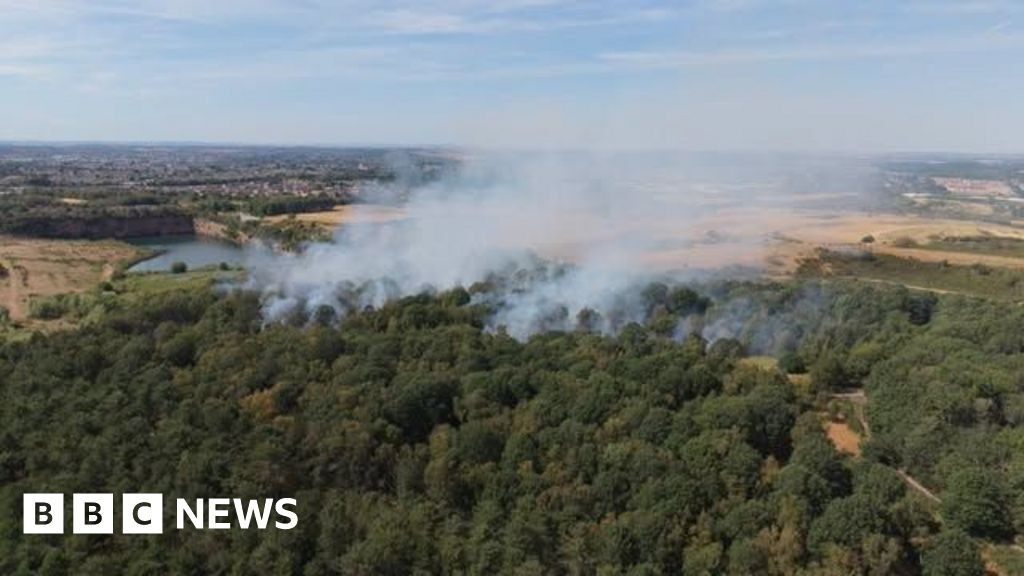 Multiple fire crews tackle large woodland fire near Mansfield