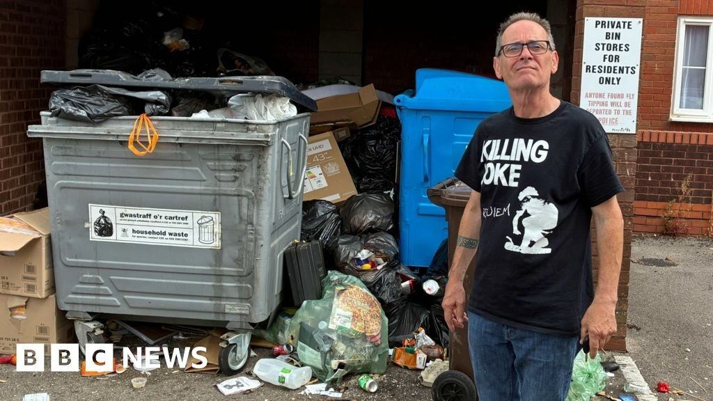 Cardiff waste piling up attracting rats and seagulls, residents say