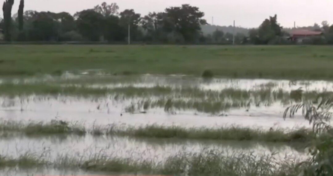 Agri damage from Habagat, cyclones reaches ₱689M — DA