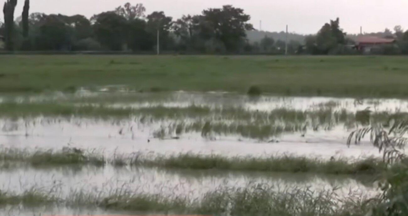 Agri damage from Habagat, cyclones reaches ₱689M — DA