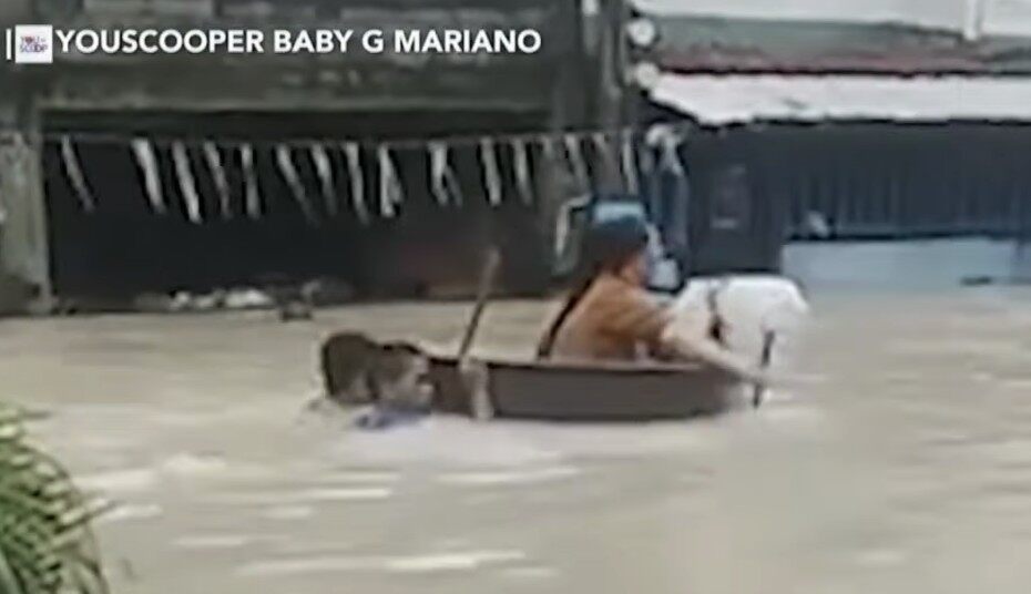 Habagat to affect Luzon, Visayas; localized thunderstorms expected elsewhere