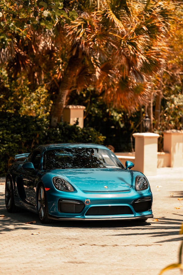 Teal Porsche Sports Car Parked Under Palm Trees
