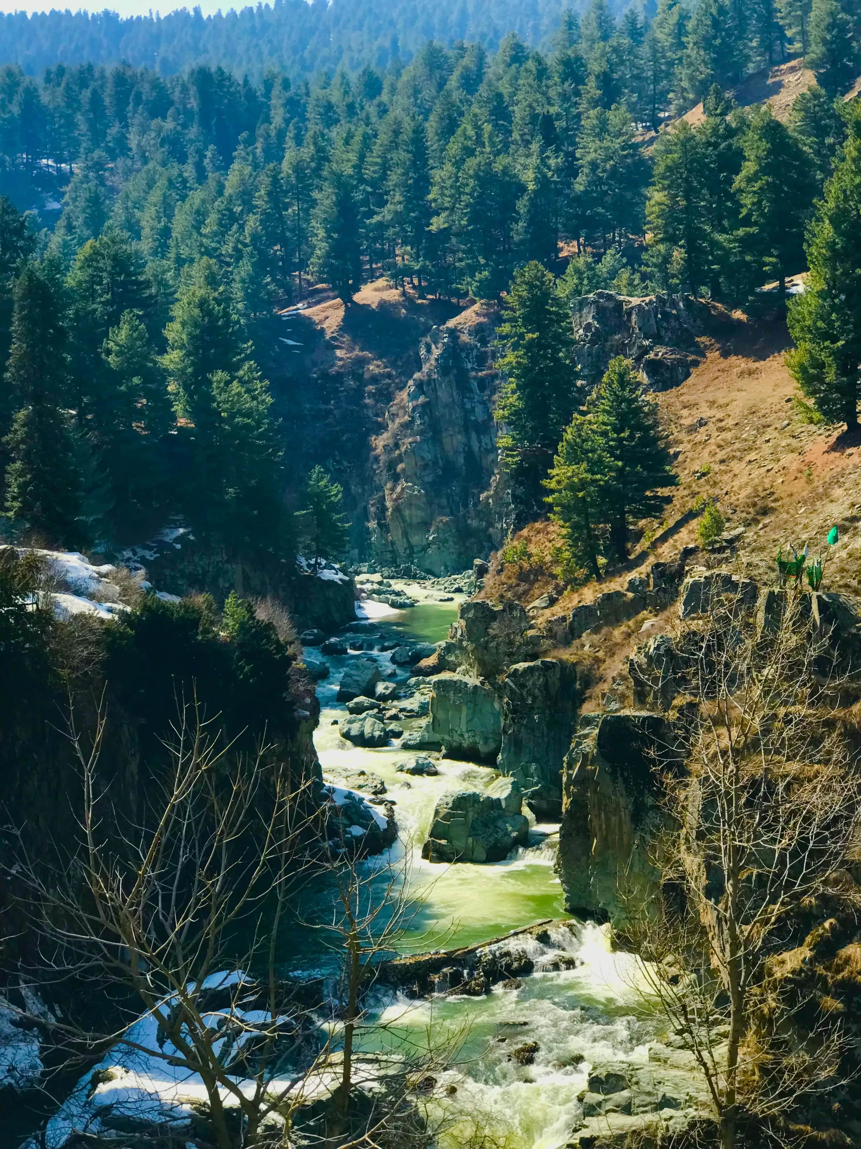 Rocky Mountain River Gorge