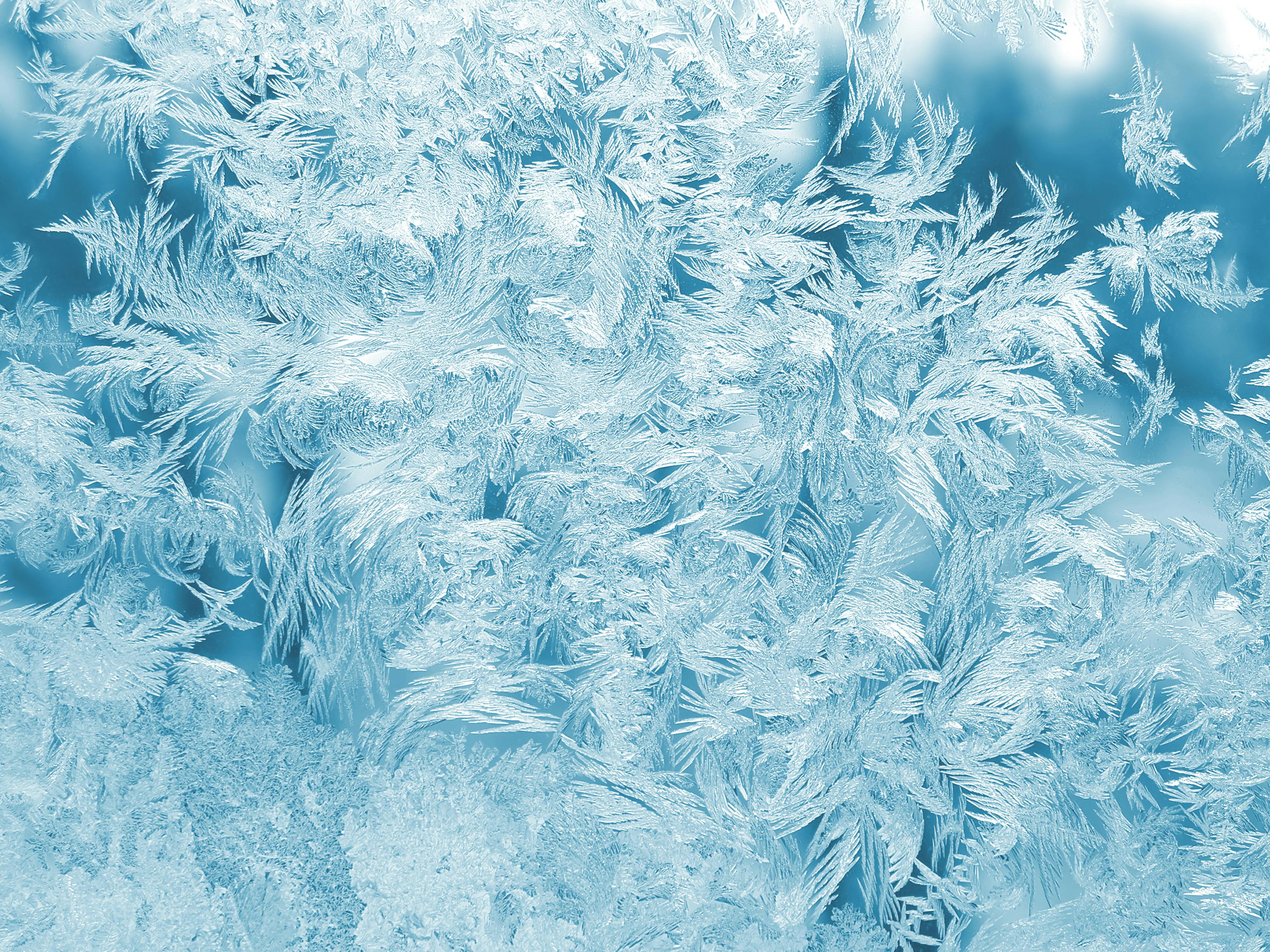Intricate Frost Patterns on Window
