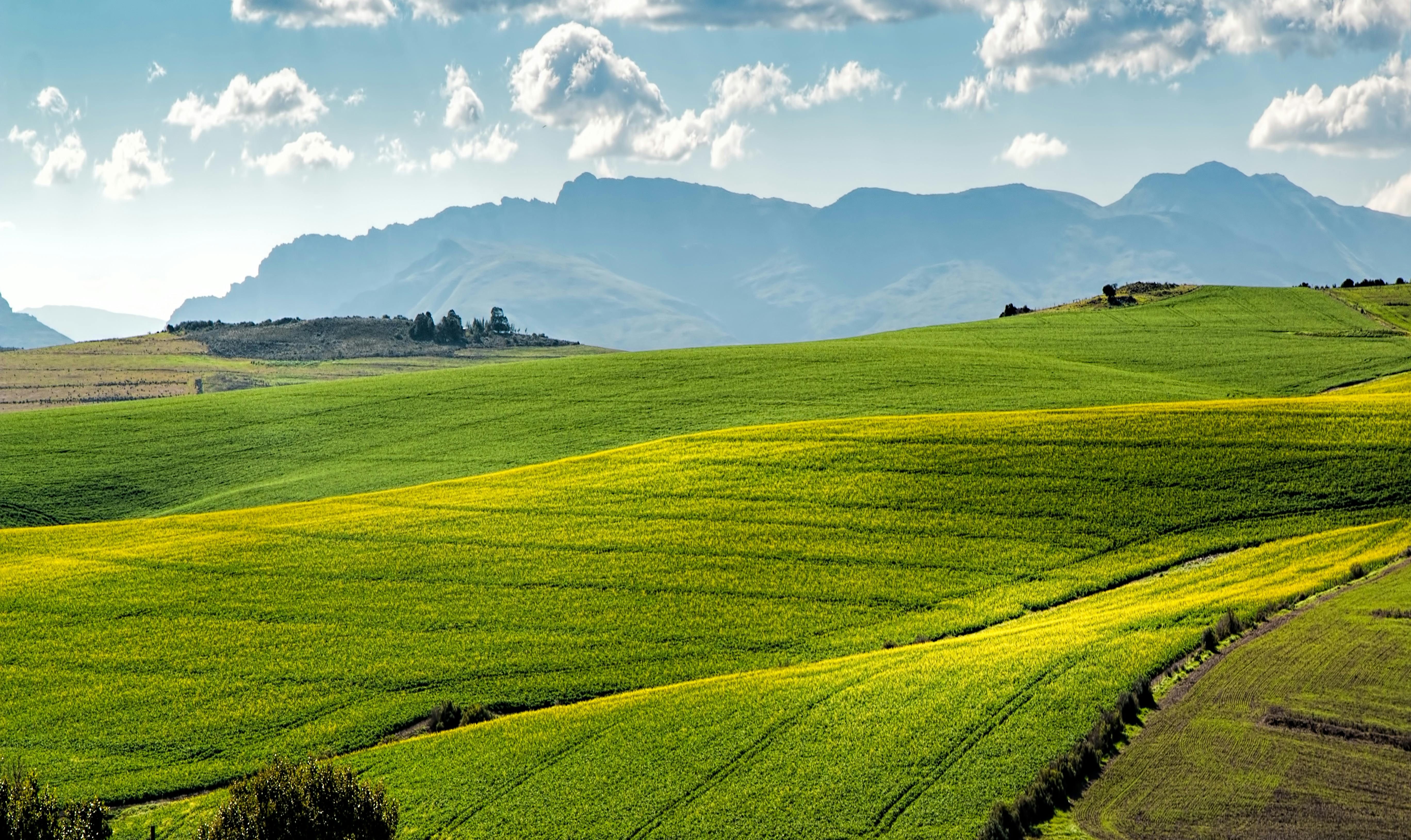 Rolling Green Farmland with Distant Mountains