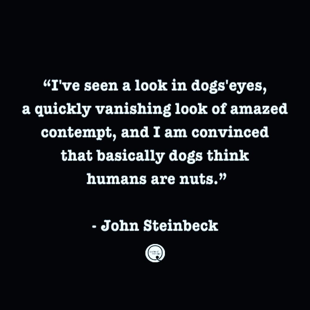 John Steinbeck Quote About Dogs