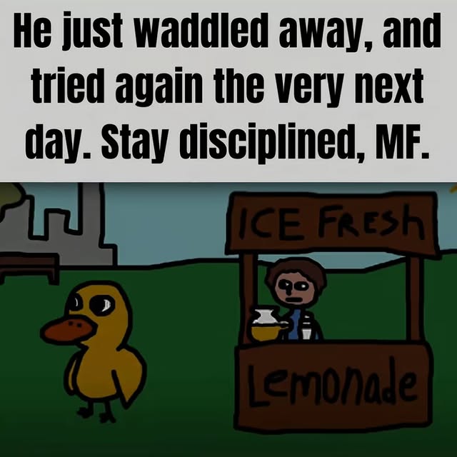 Disciplined Duck Motivational Meme