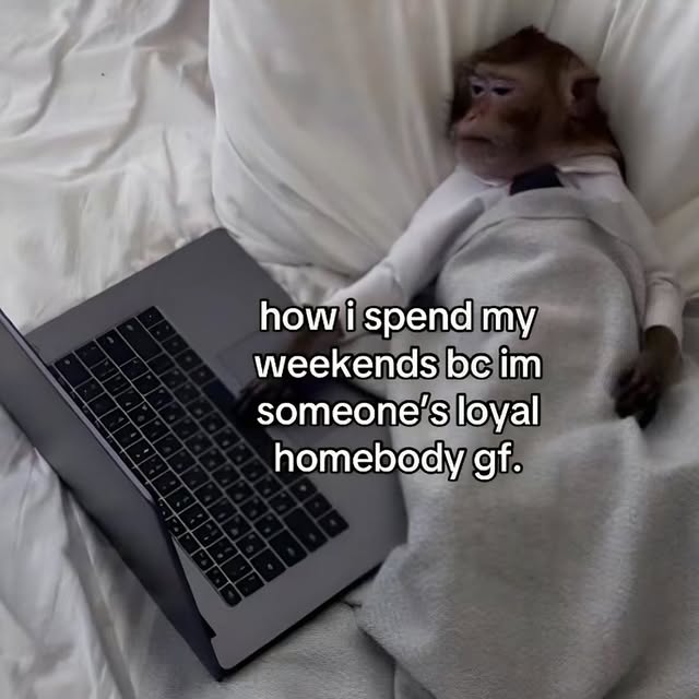 Loyal Homebody GF Weekend Meme