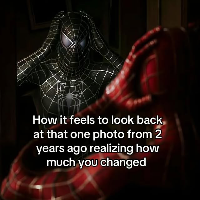 Spider-Man Meme About Personal Change