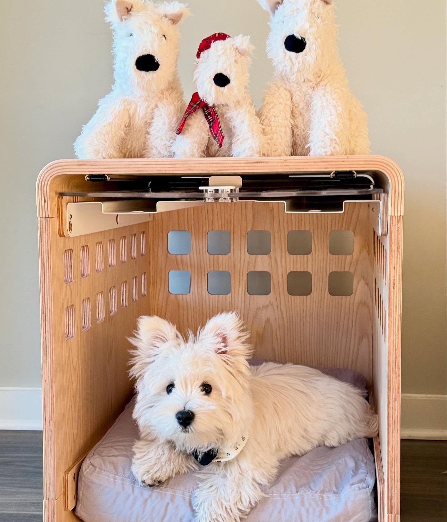 Image 7057 — Pets