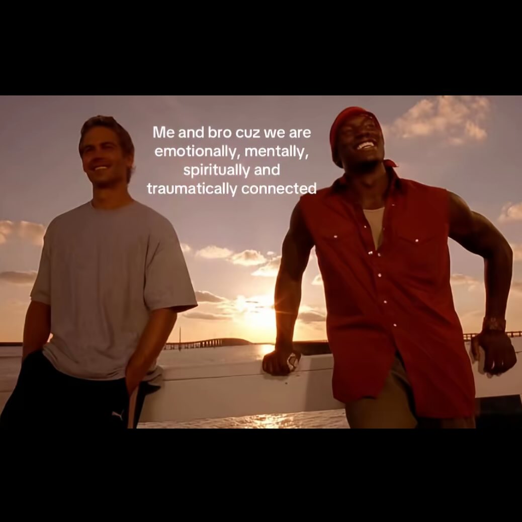 Fast and Furious Brothers Meme