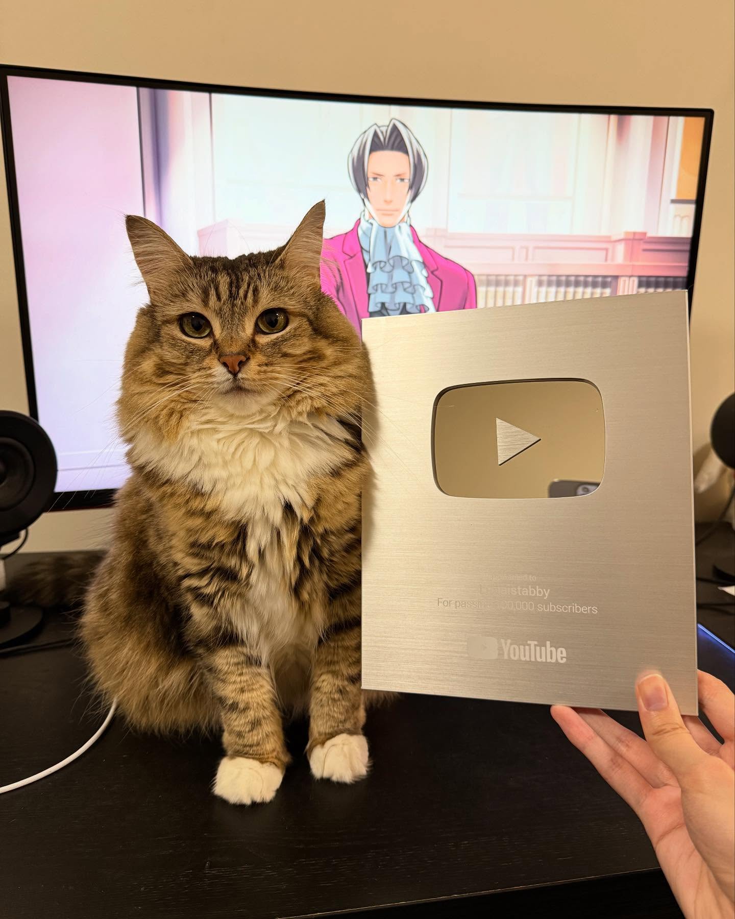 Tabby Cat With YouTube Silver Play Button