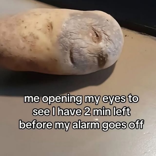 Sleepy Face Potato Alarm Meme