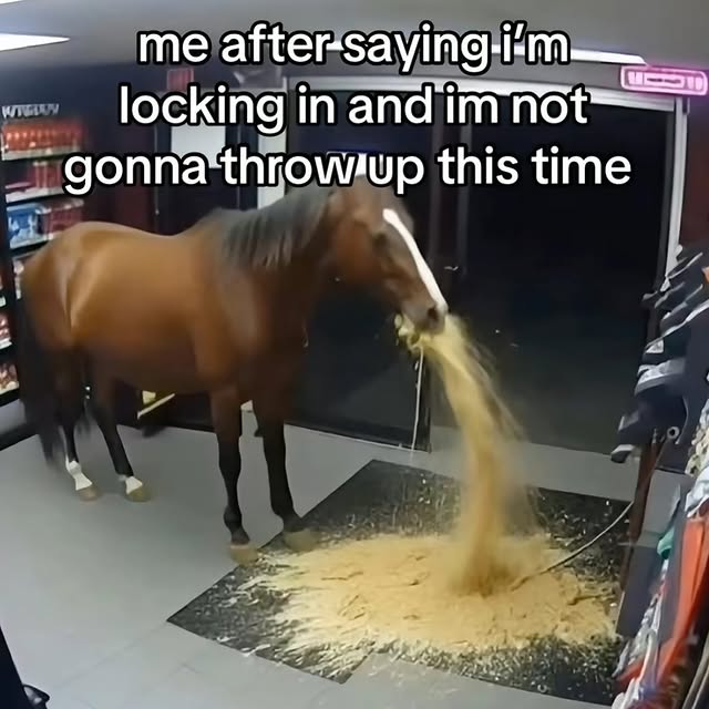 Horse Vomiting In Convenience Store