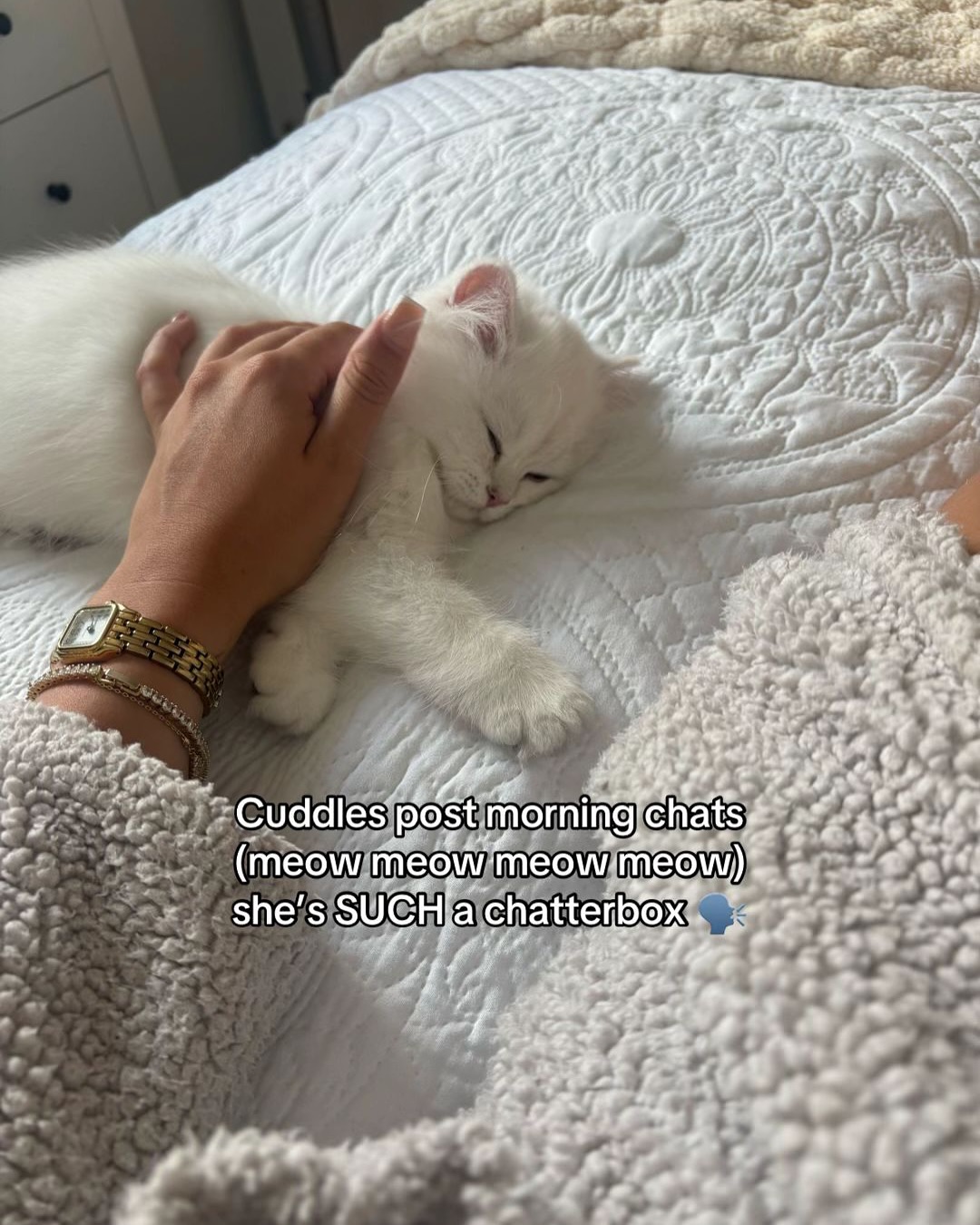 Fluffy White Kitten Getting Cuddles
