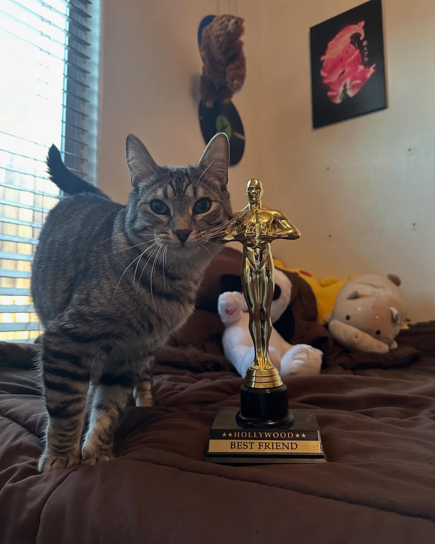 Tabby Cat with Best Friend Trophy