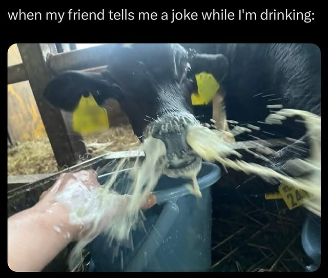 Image 6112 — Funny