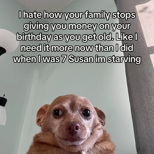 Relatable Birthday Money Dog Meme