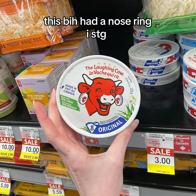 Laughing Cow Cheese Nose Ring Meme