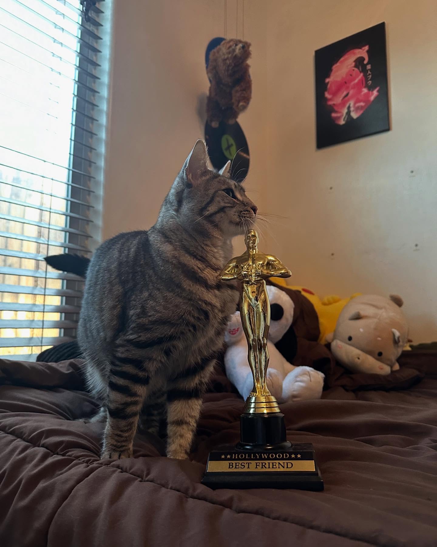 Tabby Cat With Best Friend Trophy
