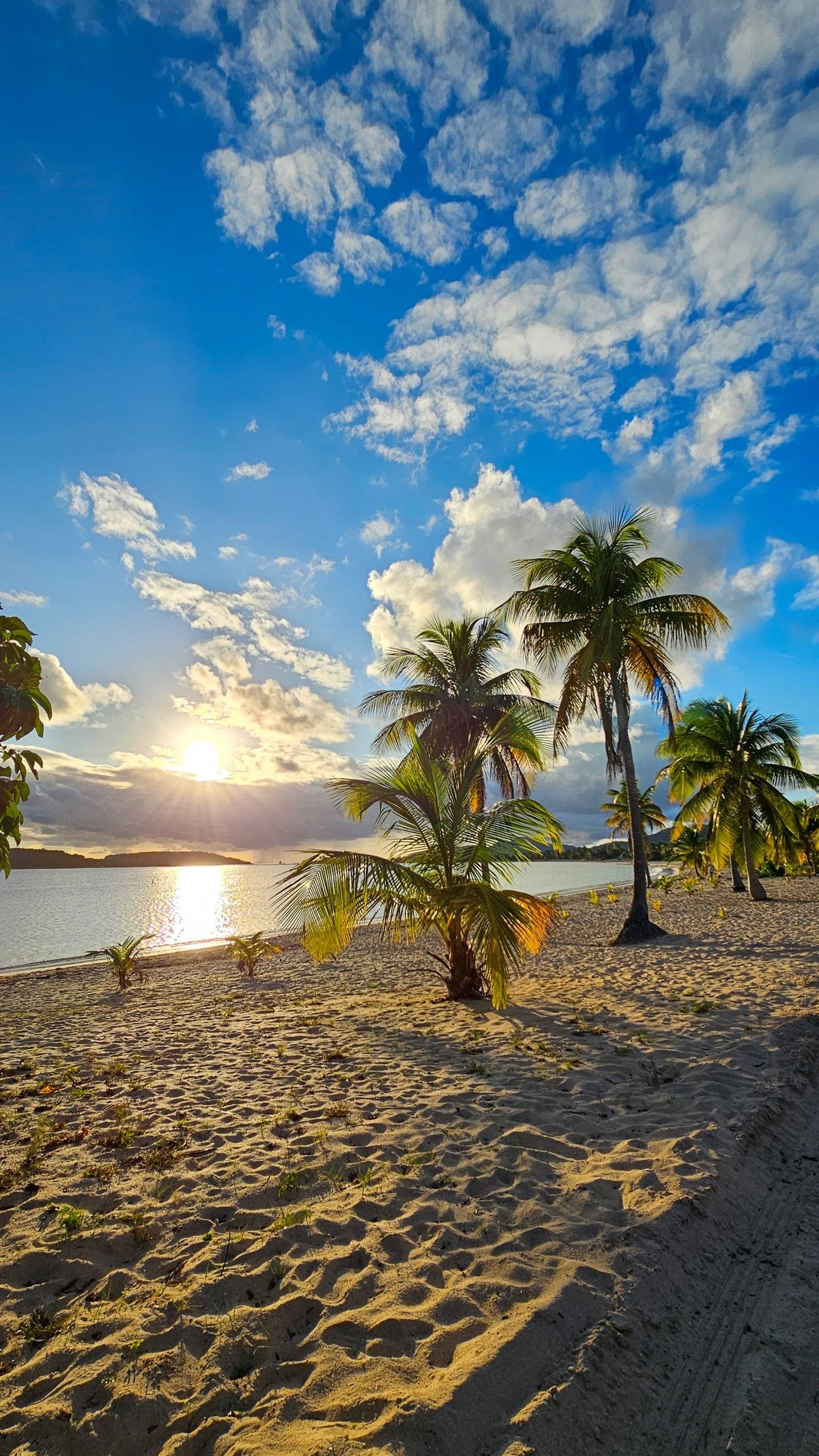 Tropical Palm Beach Sunrise View