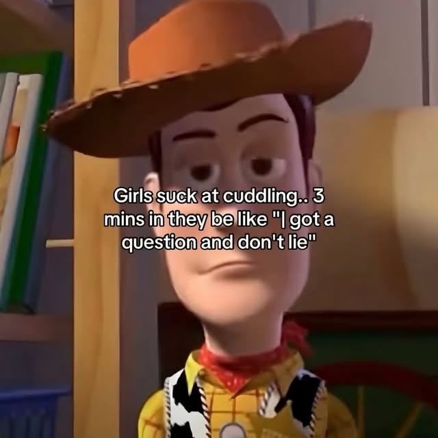 Woody Meme About Cuddling