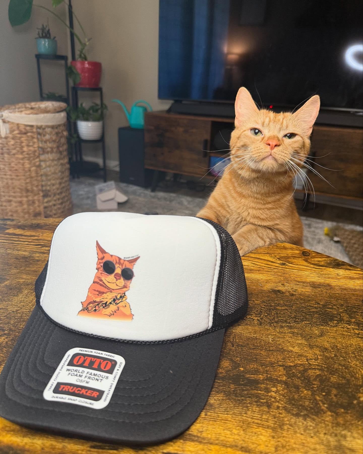 Orange Tabby Cat and Matching Custom Hat