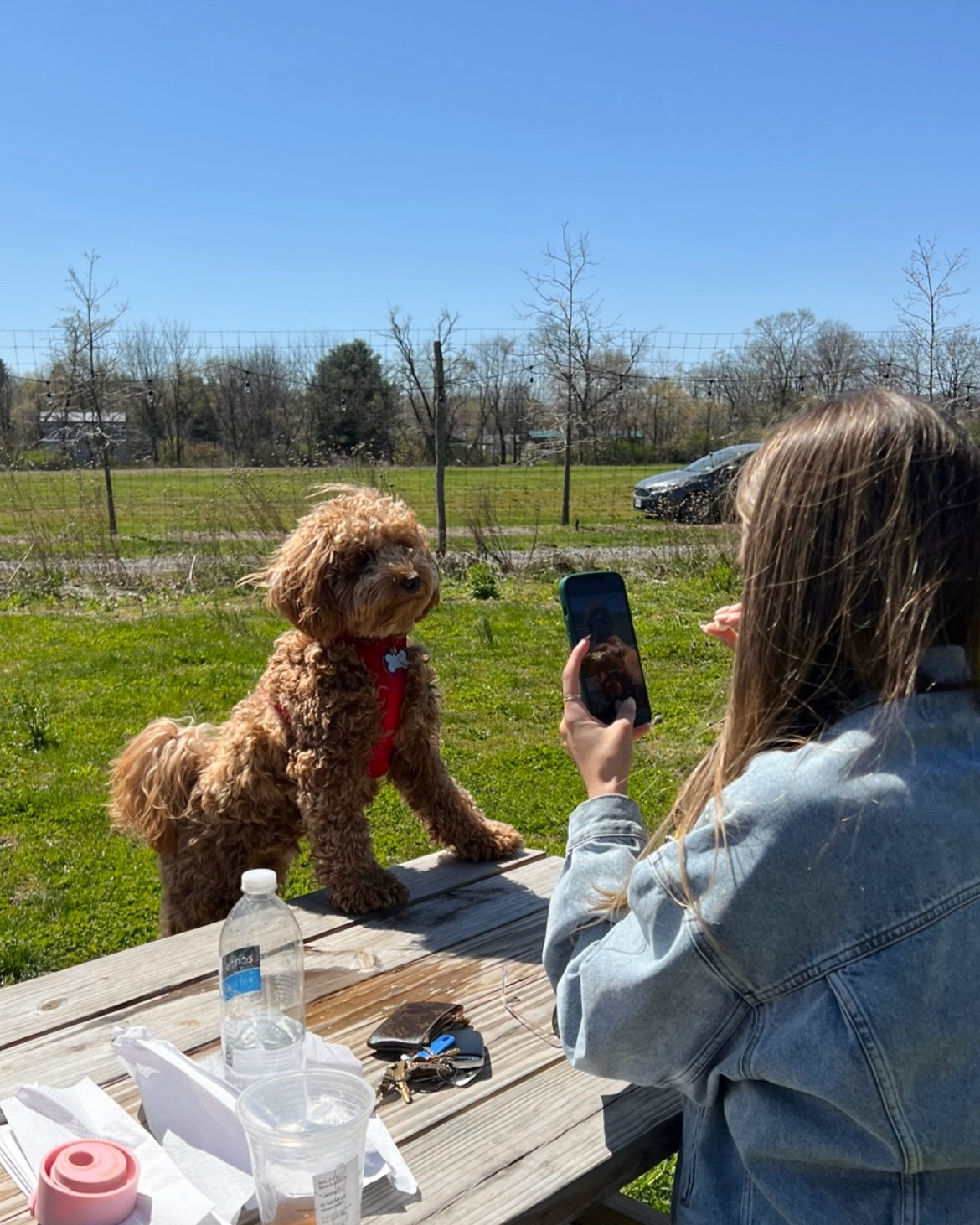 Woman Taking Photo of Pet Dog Outdoors