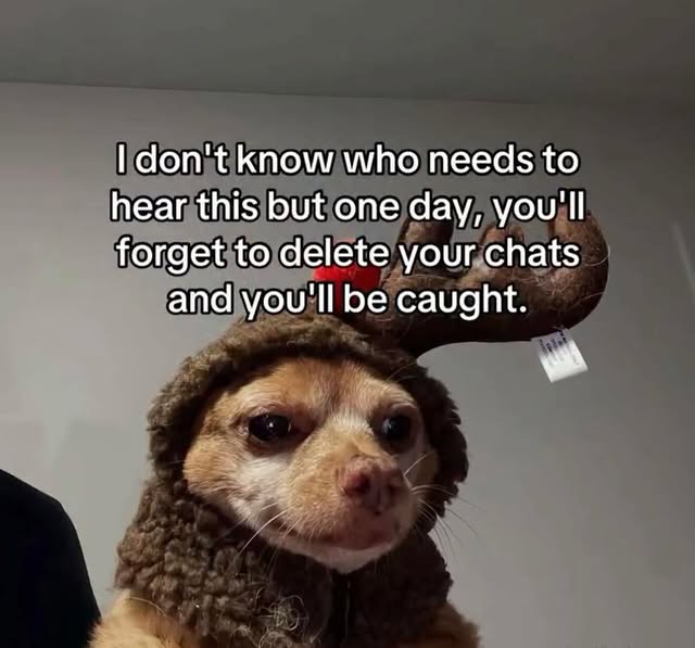 Chihuahua Reindeer Meme