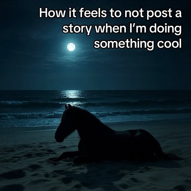 Moonlit Beach Horse Meme